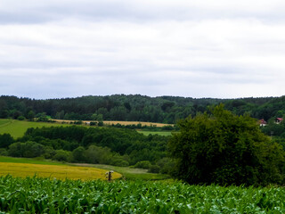 Fields and meadows of Wiezyca. Kashubia Region. Poland
