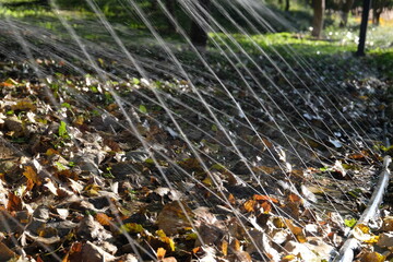 Obraz premium Autumn leaves and water from a sprinkler in the park.