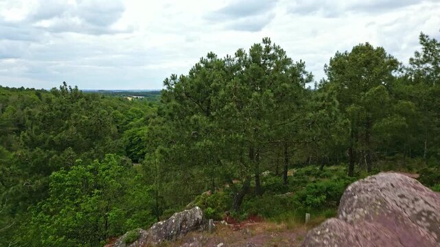 Val Sans Retour, Paimpont, Broceliande forest, Brittany in France. Aerial forward ascending