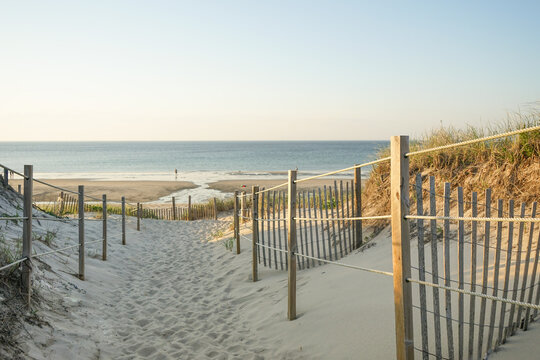 Pathway to Howes Beach on Cape Cod during Summertime