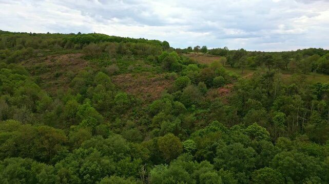 Aerial view about the forest of Val Sans Retour, Paimpont, Broceliande forest, Brittany in France. Aerial drone descending forward