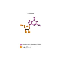 Guanosine skeletal structure schematic illustration, Nucleoside molecule.