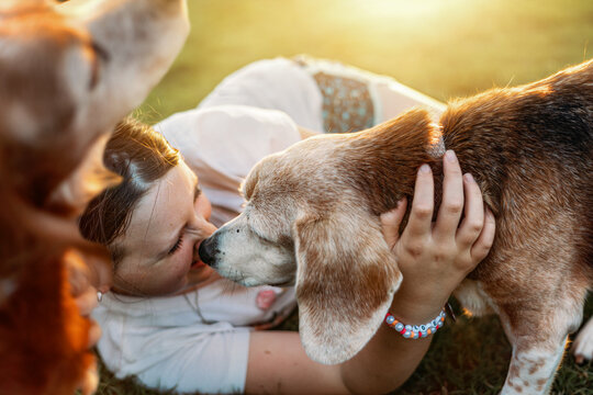 Girl playing with dogs in backyard with golden light
