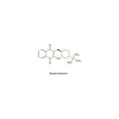 Buparvaquone flat skeletal molecular structure Antiprotozoal drug used in theileriosis treatment. Vector illustration scientific diagram.