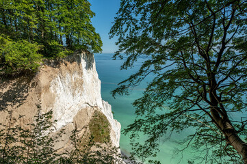 Die eindrucksvollen Klippen von M&oslash;ns Klint, an der Ostk&uuml;ste D&auml;nemarks bei sch&ouml;nem Wetter