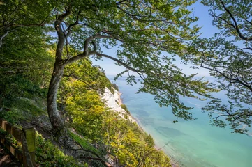 Acrylglasbilder Die eindrucksvollen Klippen von Møns Klint, an der Ostküste Dänemarks bei schönem Wetter © yourpix