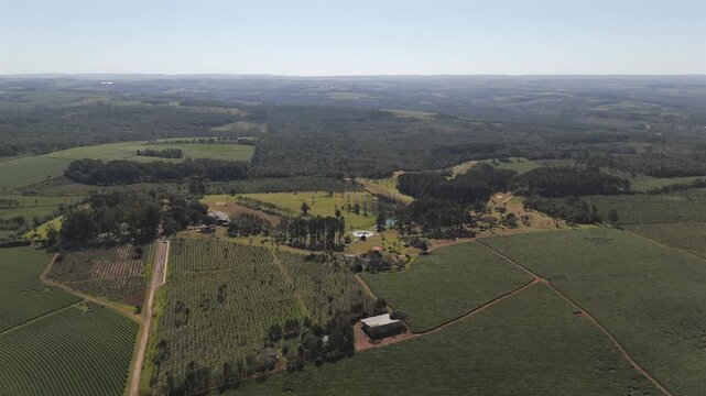 High altitude and approaching aerial movement about the local golf club and green tea fields, Argentina.