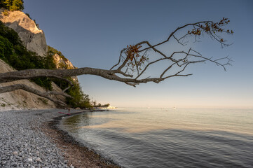 Die eindrucksvollen Klippen von Møns Klint, an der Ostküste Dänemarks bei schönem Wetter