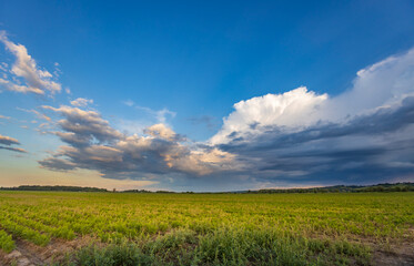 Obraz premium A wide field of green grass stretches out under a dramatic sky, with dark, storm clouds looming overhead.