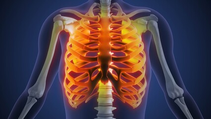 Medical concept of the human rib pain © phoenix