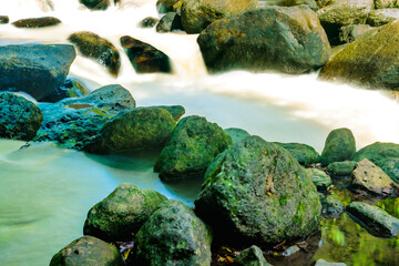 Water flowing through rocks covered by moss in nature at Thailand.