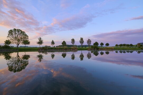 Lake in spring with row of trees and reflection at sunset, Drei Gleichen, Ilm-Kreis, Thuringia, Germany, Europe
