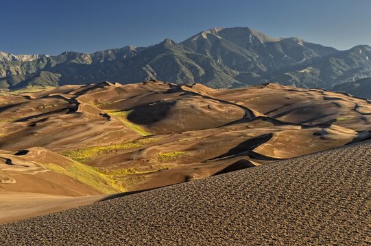 Dune landscape, Great Sand Dunes National Park, Mosca, Colorado, USA, North America
