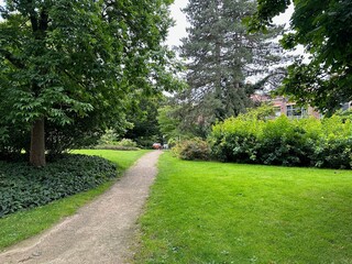 Picturesque view of pathway among trees outdoors