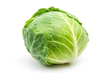 cabbage isolated on white background, full depth of field, ai