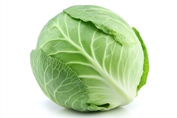 cabbage isolated on white background, full depth of field, ai