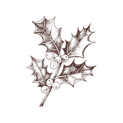 Naklejka premium Holly berry monochrome vector branch