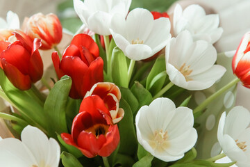 Spring Inspiration: Tulip Bouquet in Honor of International Women's Day