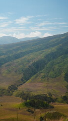 Fototapeta premium steep mountain slopes and trees