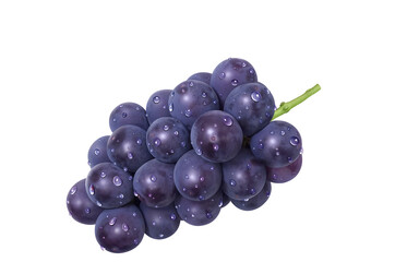 巨峰 イラスト リアル ぶどう