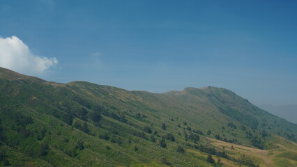 mountain slopes and trees on sky background
