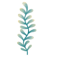 Watercolor sea plant 