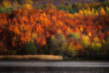Jesień na pojezierzu