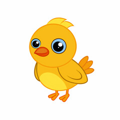 bird, chick, cartoon, animal, easter, yellow, vector, baby, illustration, egg, farm, cute, isolated, spring, funny, character, nature