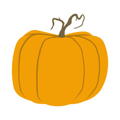 Pumpkin illustration
