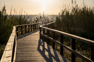 Obraz premium wooden descent to the beach, wooden pier to the sea