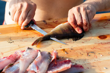 cleaning and preparing fish. making fillets with knife on wooden board