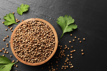 Dried coriander seeds in bowl and green leaves on dark gray textured table, flat lay. Space for text