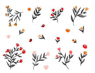 Set with branches and flowers. Decorative doodle illustration of flowering plants. Illustration on isolated background