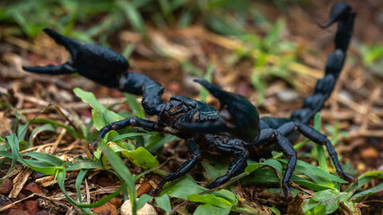 ready to defend - Bereit zur Verteidigung