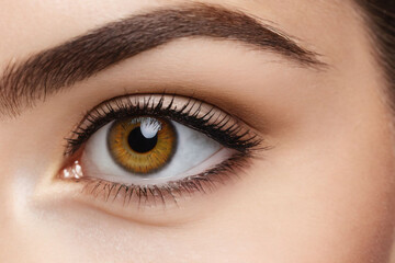 Obraz premium close up of brown eye
