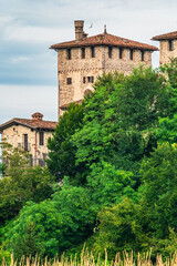 Fototapeta premium Summer flowers. Sunflowers among the hills.