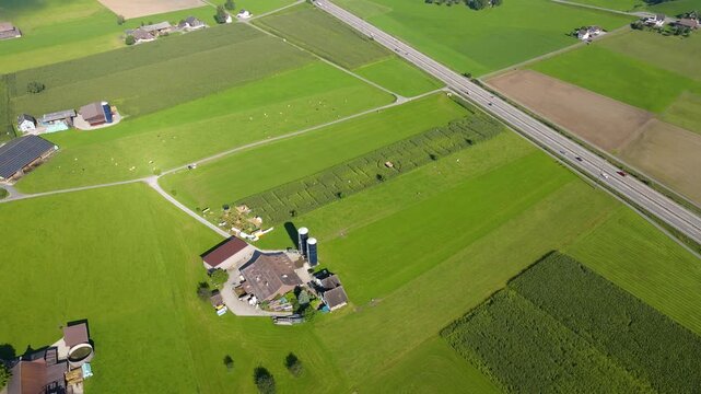 Schuebelbach, Mais, Labyrint, Farmer, Swiss, Switzerland, Weed, Farming,