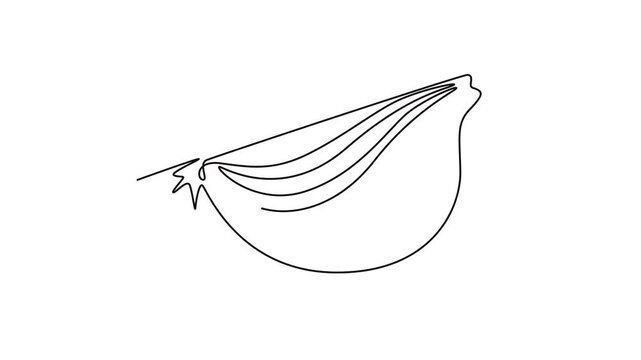Animated self drawing of continuous line draw half sliced healthy freshness organic onion for herbal logo identity. Fresh cultivated seasoning concept vegetable icon. Full length single line animation