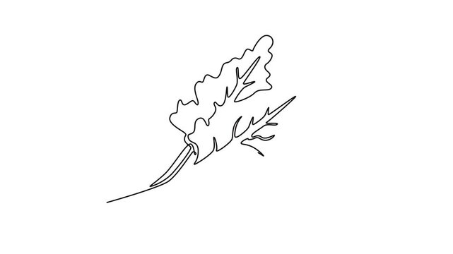 Animated self drawing of continuous line draw of whole healthy freshness organic raw swiss chard for farming logo identity. Fresh green leafy concept for vegetable icon. Full length one line animation