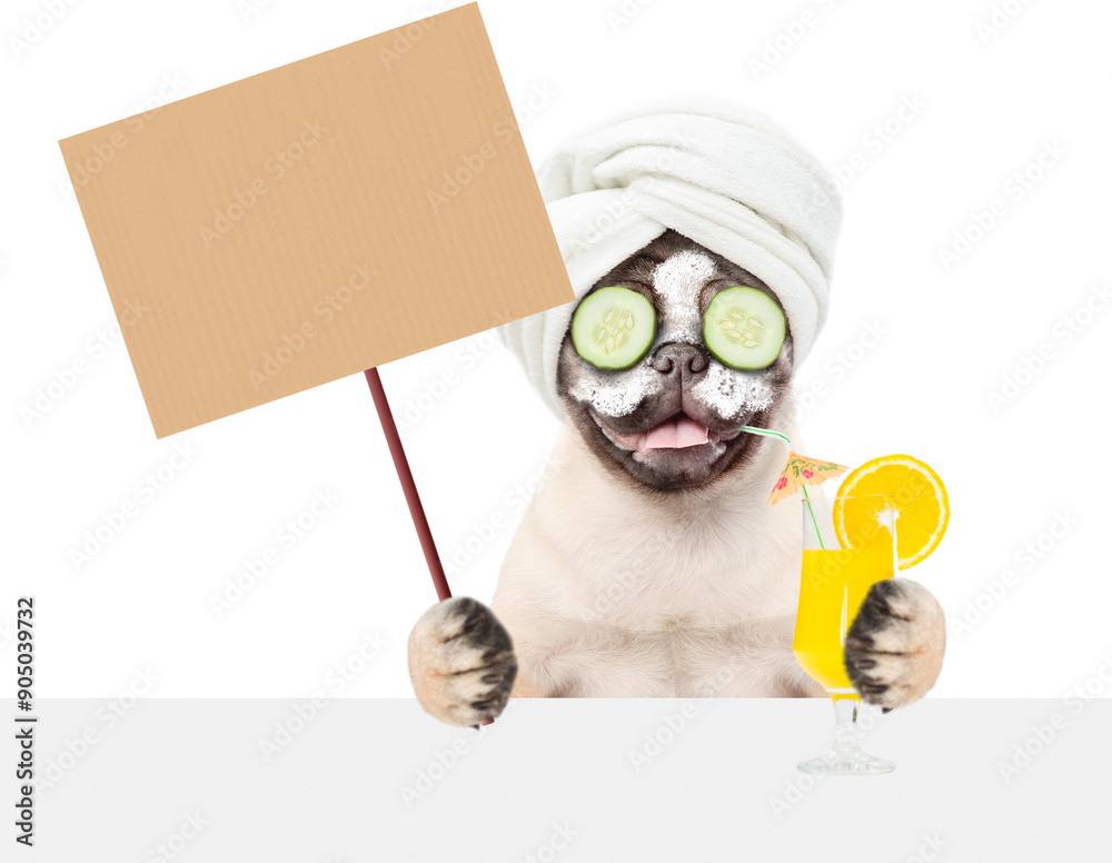 Aufkleber Funny Pug puppy with towel on it head and with pieces of cucumber on it eyes holds orange cocktail above blank white banner. isolated on white background