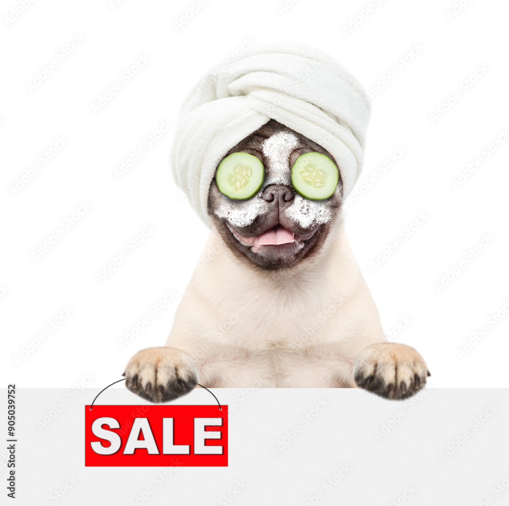 Poster Funny Pug puppy with towel on it head and with a piece of cucumber on it eyes holds looking above blank white banner and holding signboard with labeled 