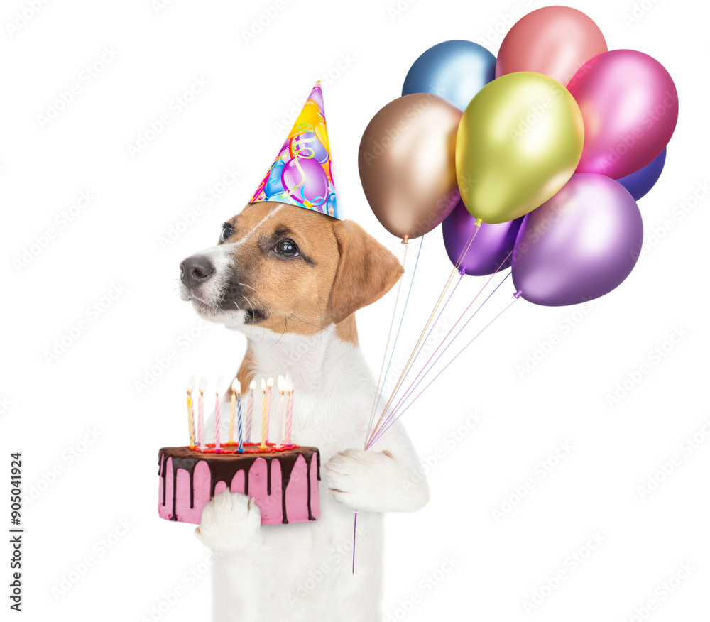 Wall mural happy jack russell terrier puppy wearing party cap holds balloons and birthday cake with candles and