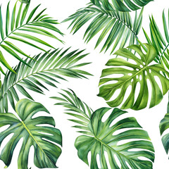 Tropical pattern, Summer watercolor palm leaves. Green pattern for wallpaper textile fabric design. Floral hand drawn 