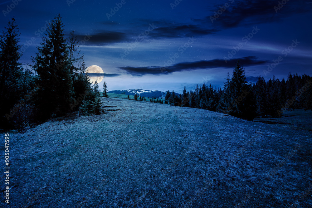 Poster scenery with coniferous forest on a grassy slope at night. mysterious mountain landscape in full moo