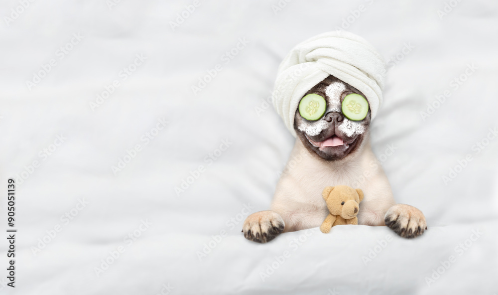 Poster funny pug puppy with towel on his head, with cream on his face and with a pieces of cucumber on his 