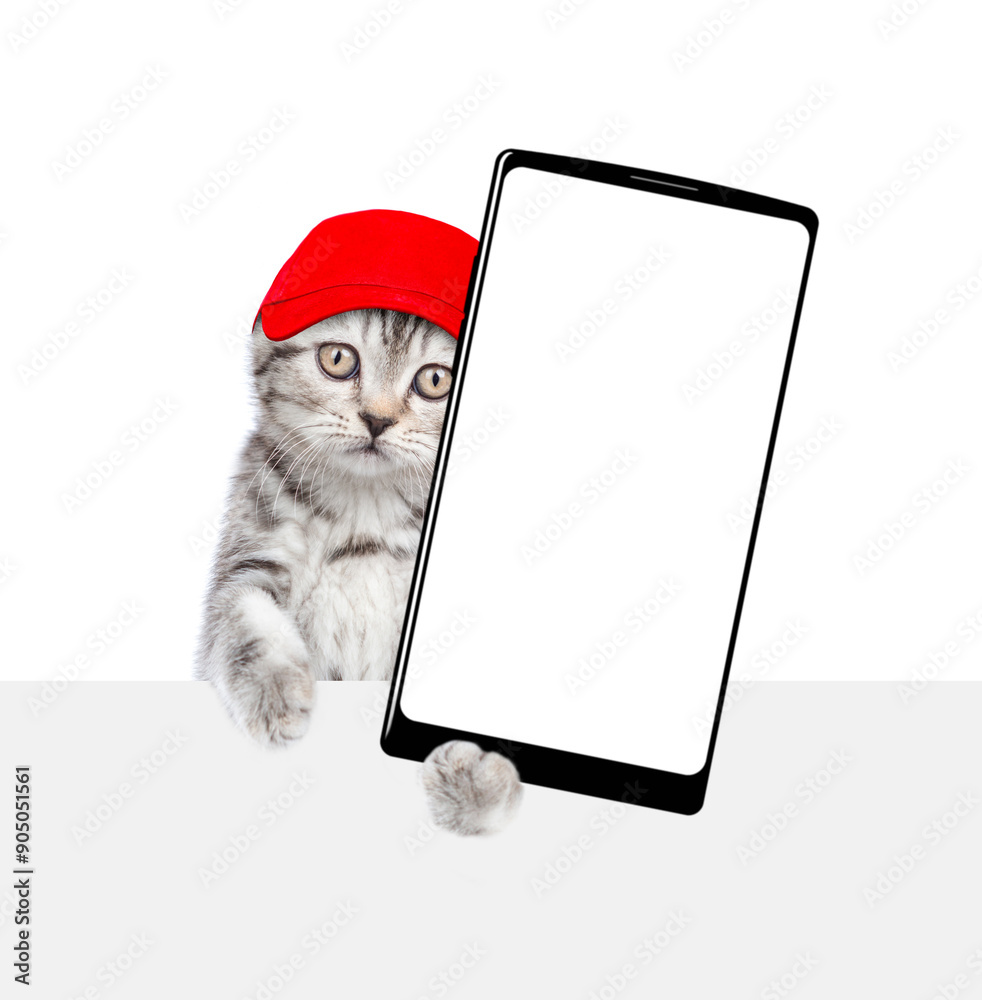 Aufkleber cute kitten wearing red cap holds big smartphone with white blank screen in it paw above empty white