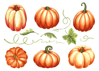 Pumpkins with leaves and tendrils. Set of hand drawn watercolor isolated illustrations. Fall collection. Autumn Thanksgiving traditional vegetables. Clip art for sticker, card, Halloween, embroidery