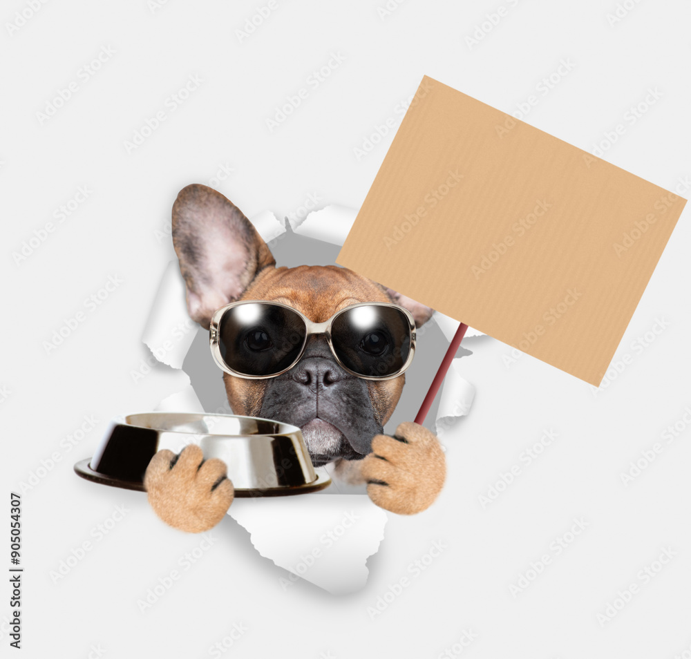 Wall mural French bulldog puppy looking through the hole in white paper, holding empty bowl and  showing empty placard. isolated on white background