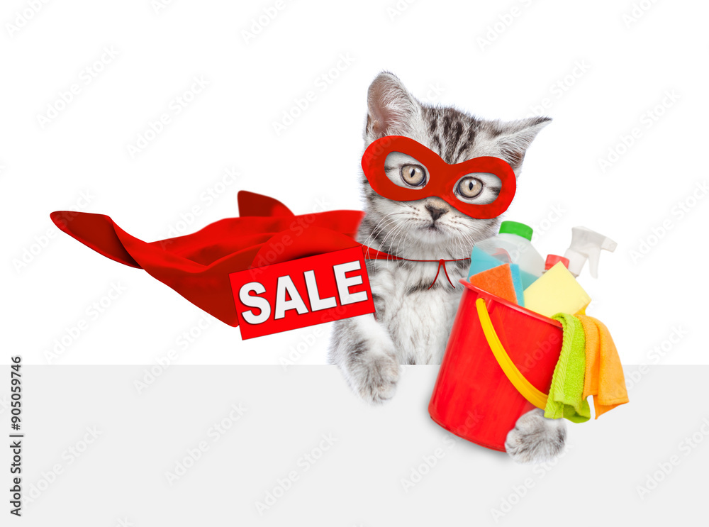 Poster cute kitten wearing superhero costume holds bucket with washing fluids and showing signboard with la