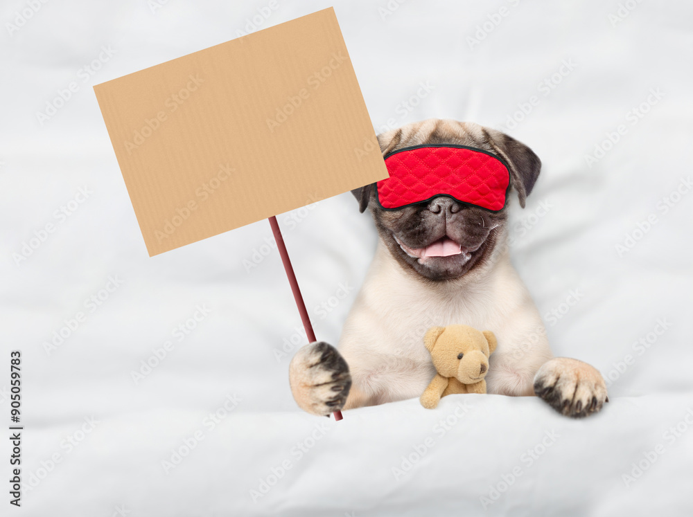 Poster pug puppy wearing sleeping mask sleeps with toy bear under white blanket on a bed at home and shows 